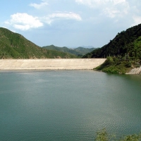 草鱼上冶水库湖库电话认证免费山东省临沂市费县上冶水库鲫鱼石岚水库